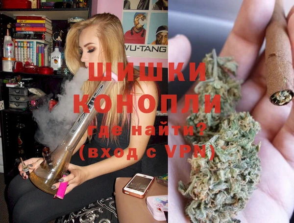 шишки Баксан