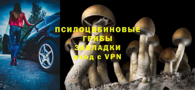 Псилоцибиновые грибы Psilocybine cubensis  купить наркотики цена  Десногорск 